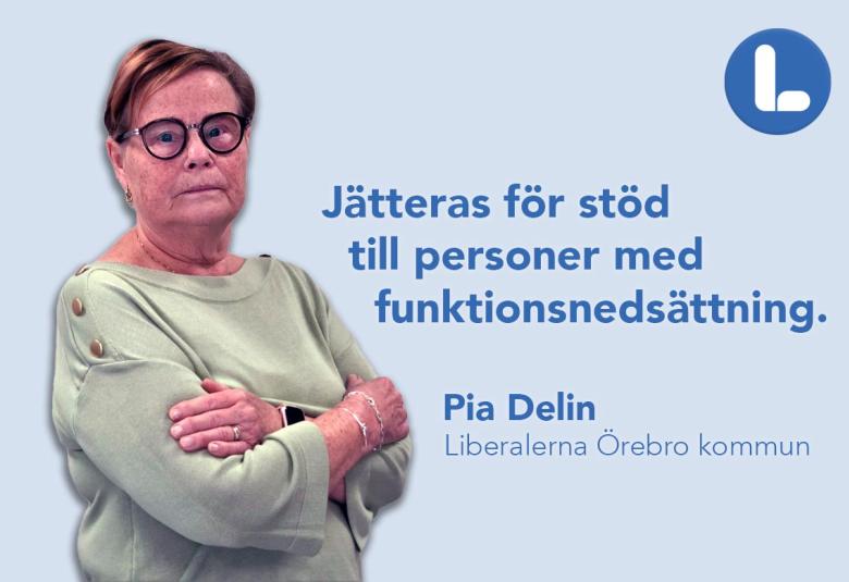 Pia Delin, Liberalerna Örebro kommun, Ordförande Liberalerna Örebro kommun, Ledamot Funktionsstödsnämnden