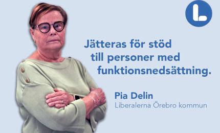 Pia Delin, Liberalerna Örebro kommun, Ordförande Liberalerna Örebro kommun, Ledamot Funktionsstödsnämnden