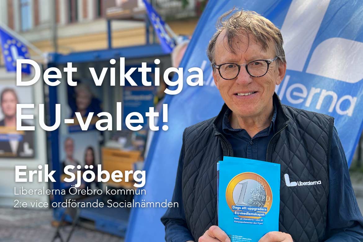 Erik Sjöberg, Liberalerna Örebro kommun 2:e vice ordförande Socialnämnden