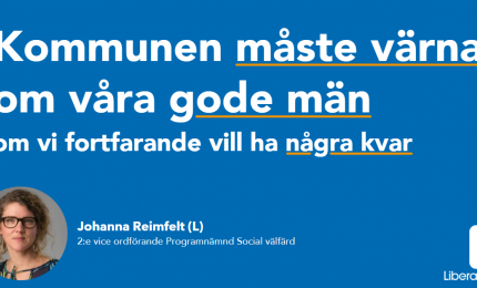 Johanna Reimfelt, Liberalerna Örebro kommun 2:e vice ordförande Programnämnd Social välfärd