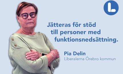 Pia Delin, Liberalerna Örebro kommun, Ordförande Liberalerna Örebro kommun, Ledamot Funktionsstödsnämnden