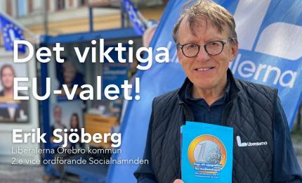 Erik Sjöberg, Liberalerna Örebro kommun 2:e vice ordförande Socialnämnden