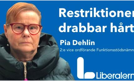 Pia Delin Liberalerna Örebro kommun 2:e vice ordförande Funktionsstödsnämnden