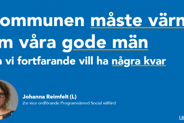 Johanna Reimfelt, Liberalerna Örebro kommun 2:e vice ordförande Programnämnd Social välfärd