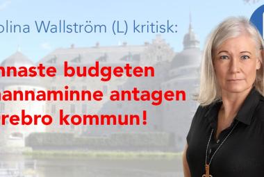 Karolina Wallström (L): Tunnaste budgeten i mannaminne  antagen i Örebro kommun!