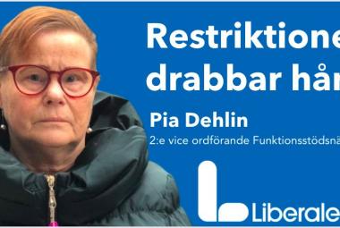 Pia Delin Liberalerna Örebro kommun 2:e vice ordförande Funktionsstödsnämnden